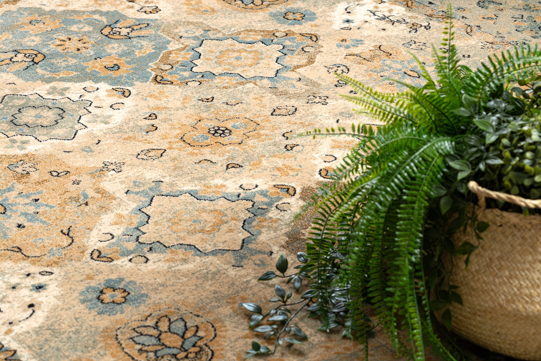 Tappeto di lana POLONIA Azer cornice, orientale, beige 200x300 cm - 5