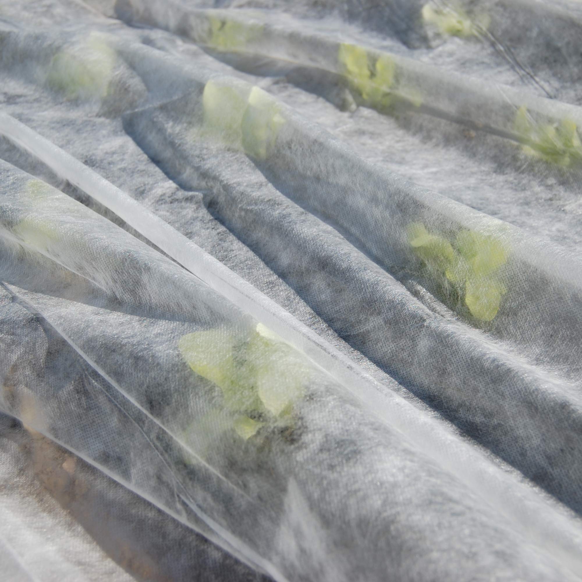 TENAX Ortoclima Plus 2,40x10 m Bianco, Velo Protettivo Antigelo Invernale per Piante, in TNT Tessuto non 30 g/m, Protegge Fiori e Ortaggi da Freddo, G - 4