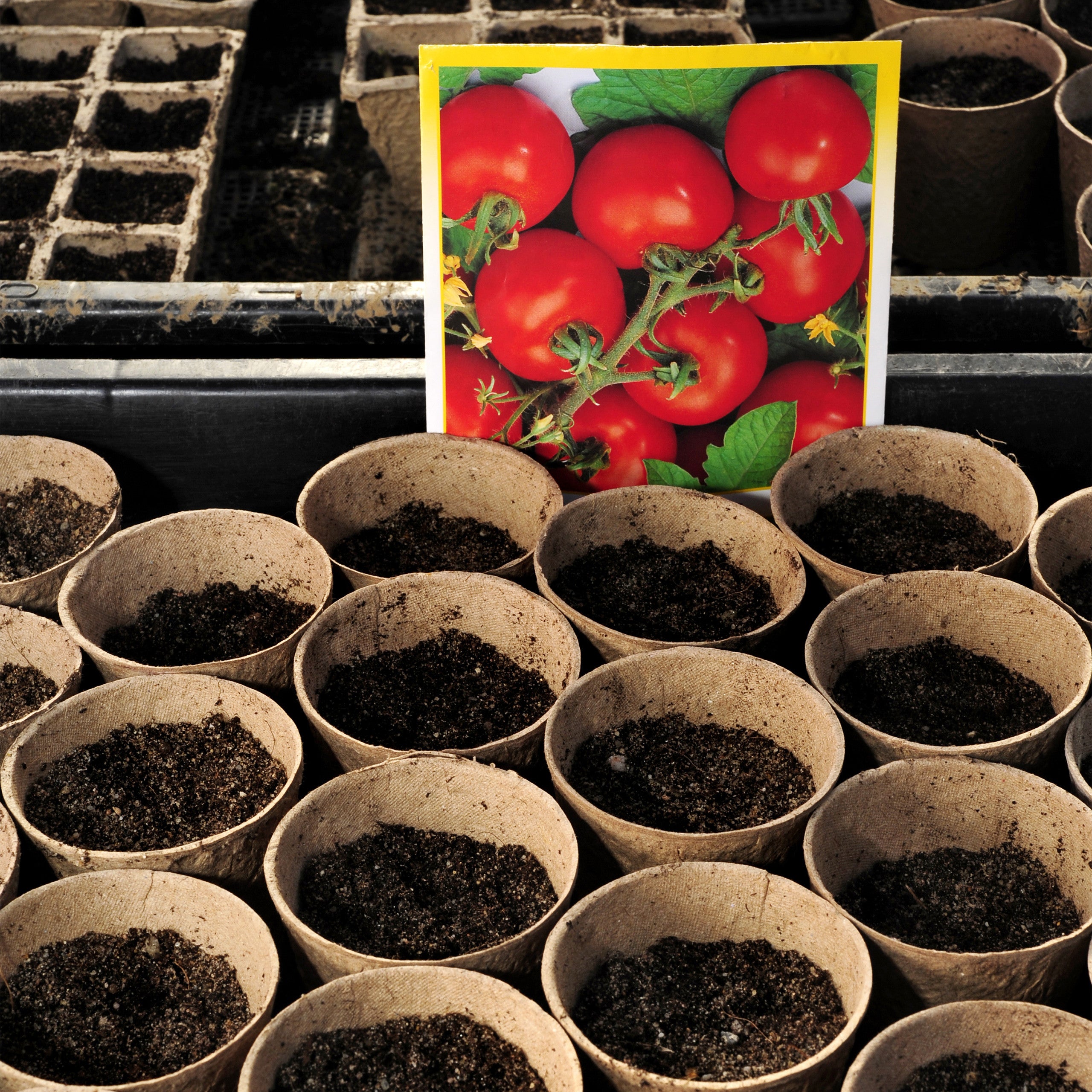 120 Vasetti Biodegradabili Per Piantine - In Torba, 5,5x6x6 Cm, Con Attrezzi - Foto 11