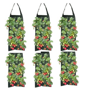 Sac De Plantation Fraise KLYNGTSK 35x30cm - 2 Sacs Culture Avec Fenêtres Et Poignées