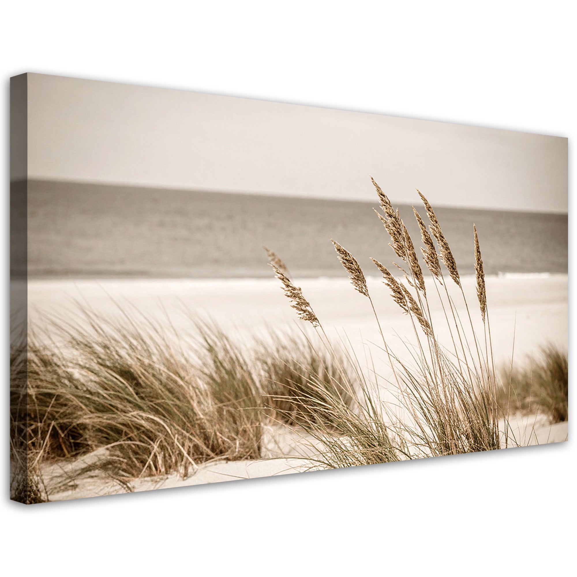 Obraz do salonu sypialni biura, Plaża morze wydmy boho pejzaż 120x60