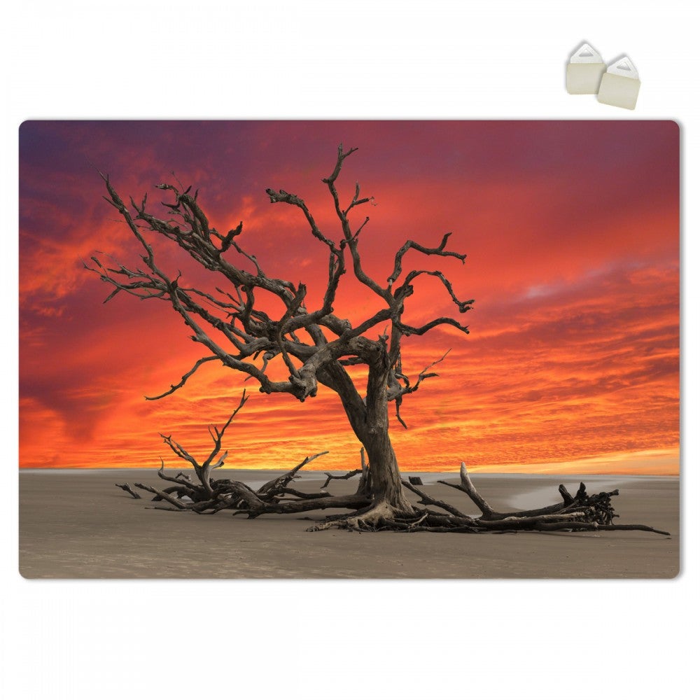 Seco - estructura del poster en pvc forex expandido espesor 3 mm - tamaño 100x70 cm