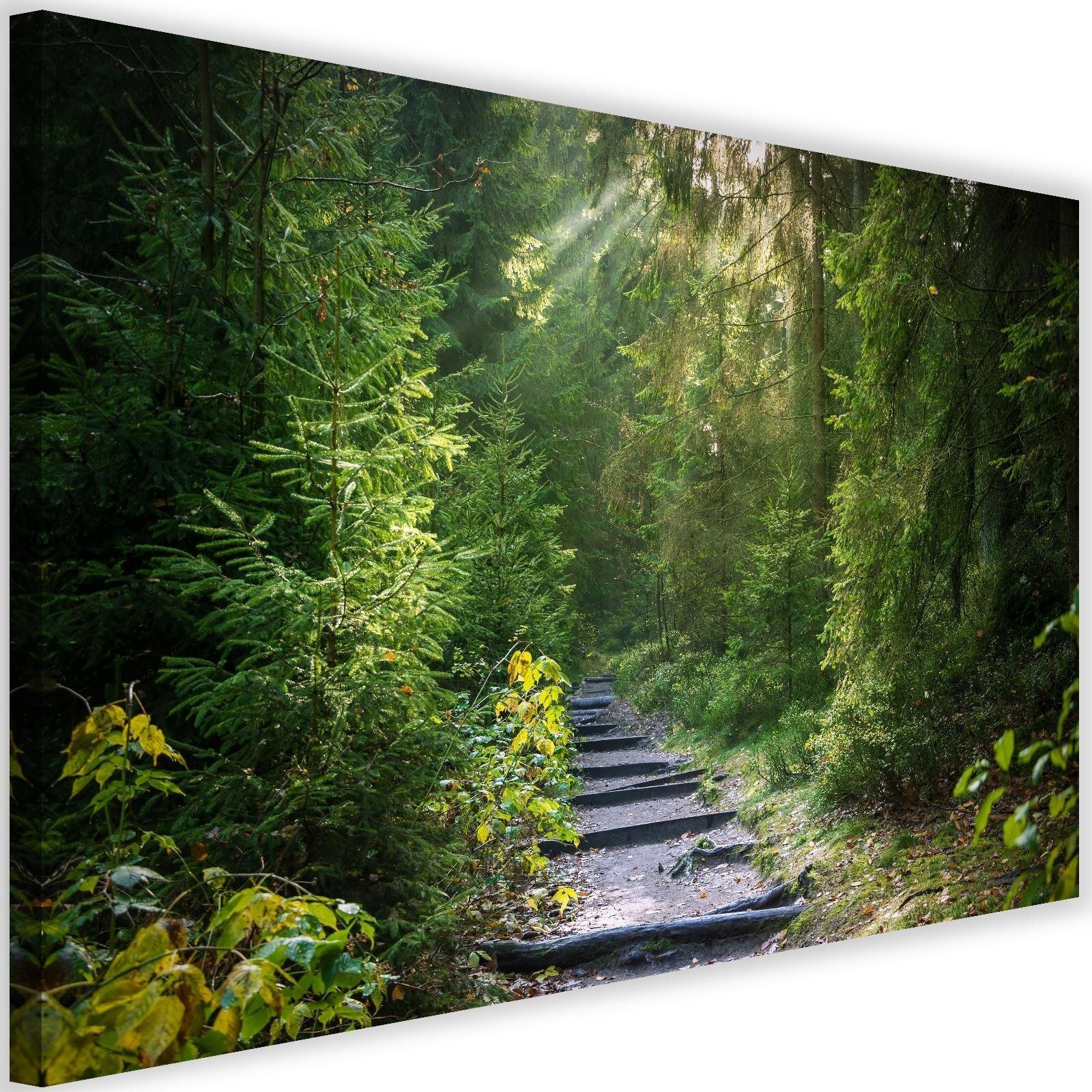 Obraz na płótnie, Ścieżka w zielonym lesie 60x40
