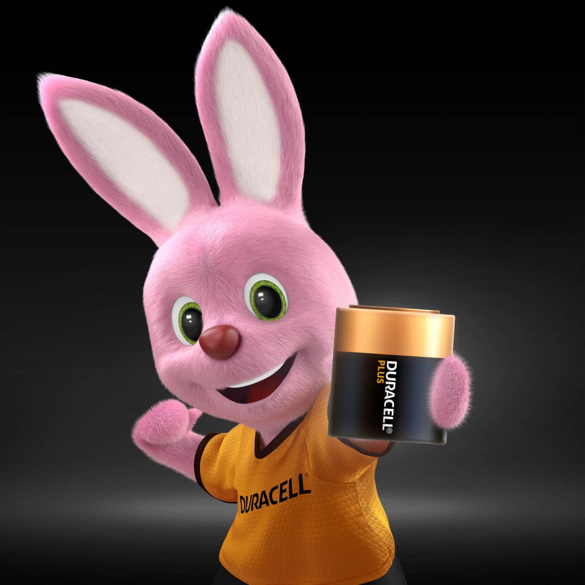 Pile DURACELL Plus Power 4,5V, 1 unité - 5