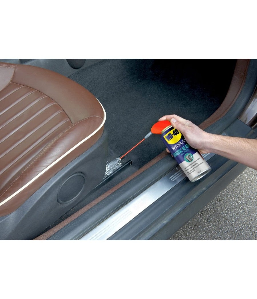 Bomboletta di grasso al litio WD40 250ml - 4