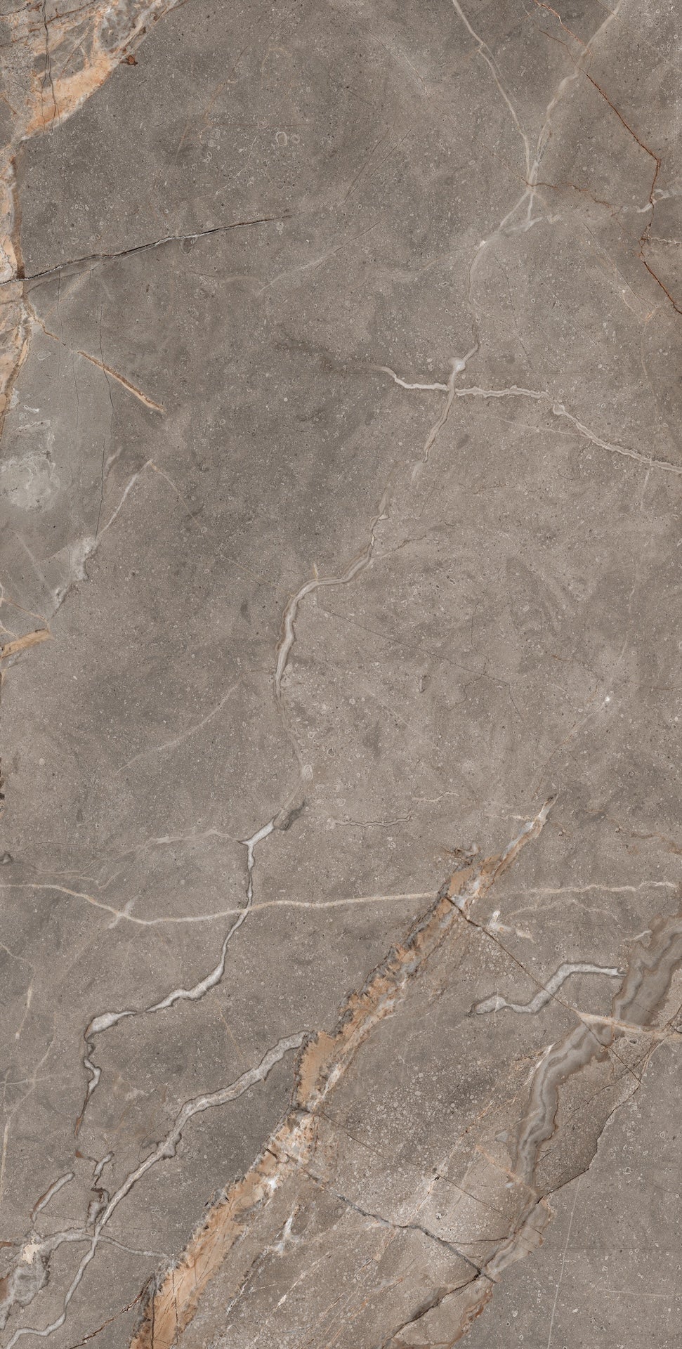 Carrelage sol / mur effet marbre beige MADRAN MINK l.60 x L.120 cm Mat LIMCARO - 4