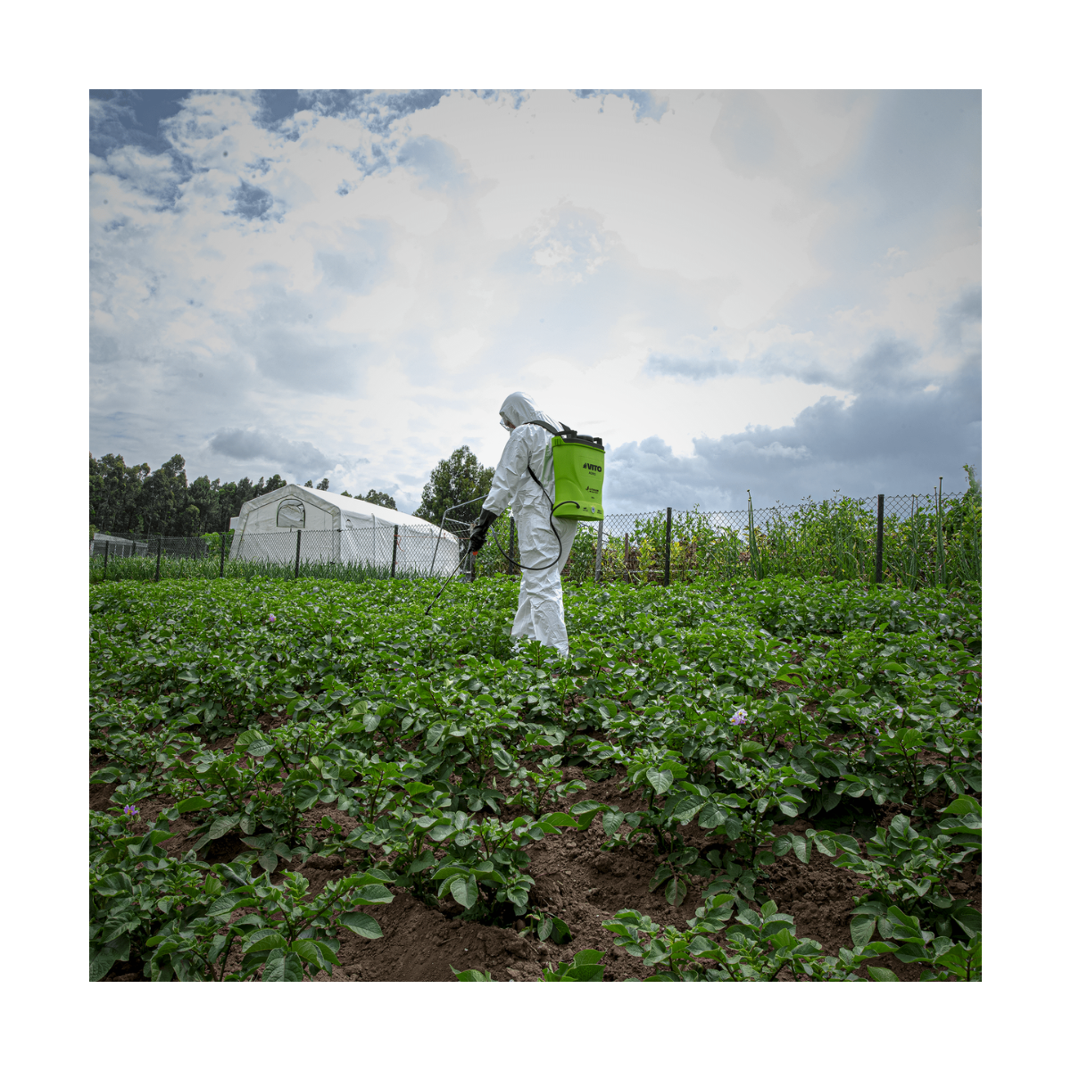 Pulverizador de jardín a batería 16L VITO 12V/8AH 6 bares de autonomía máxima 4h cargador incluido Pulverizador para tratamiento de plantas - 4