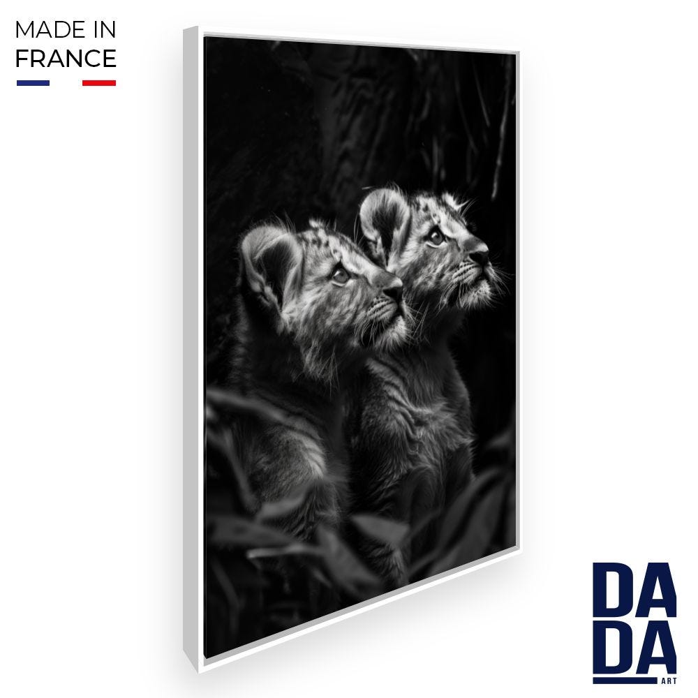 5 Pièces Lion Coloré - Art Mural en Toile 5 Pièces Lion Coloré - Art Mural en Toile