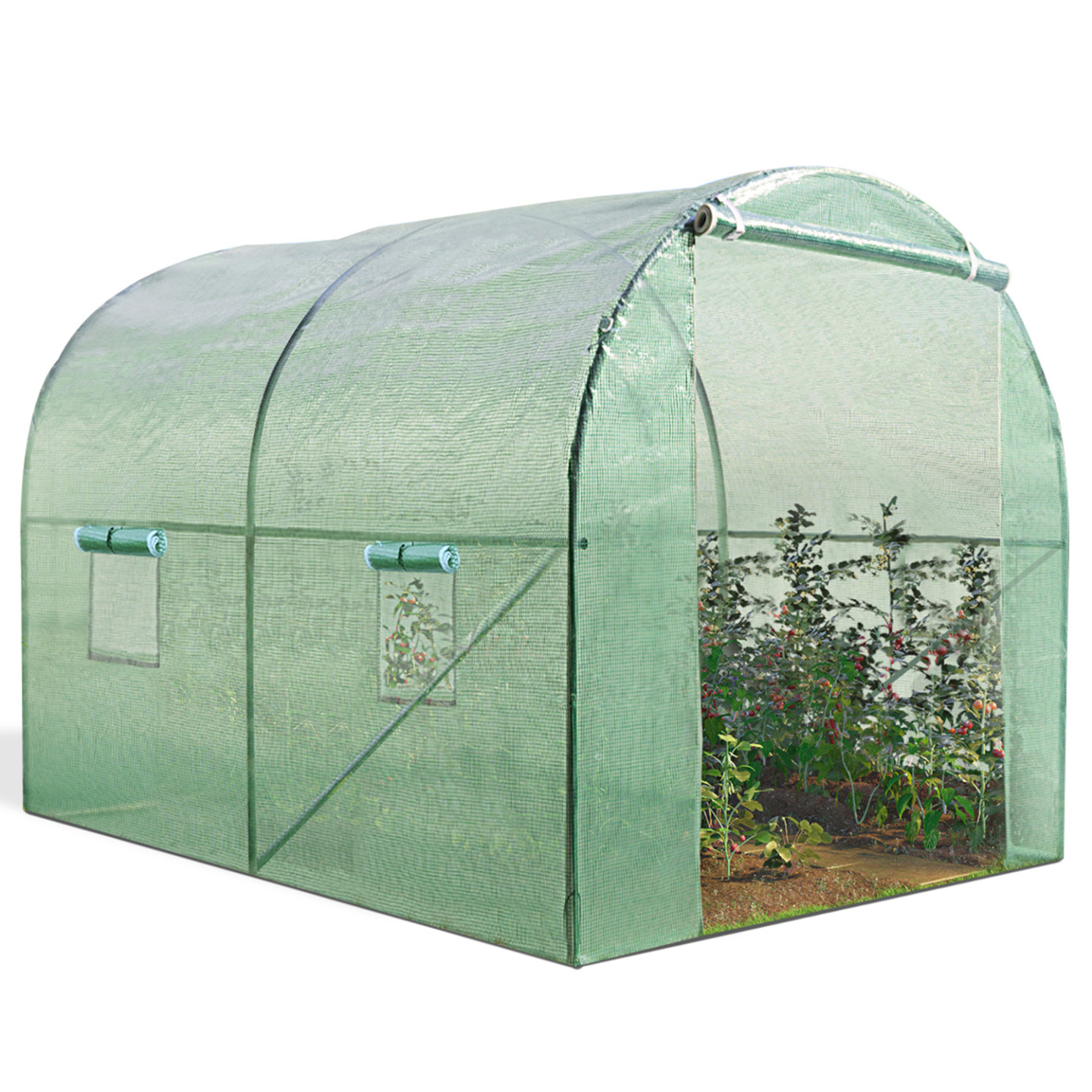 Serre tunnel de jardin 6M² verte gamme maraîchère ROMA 2x3M - 2