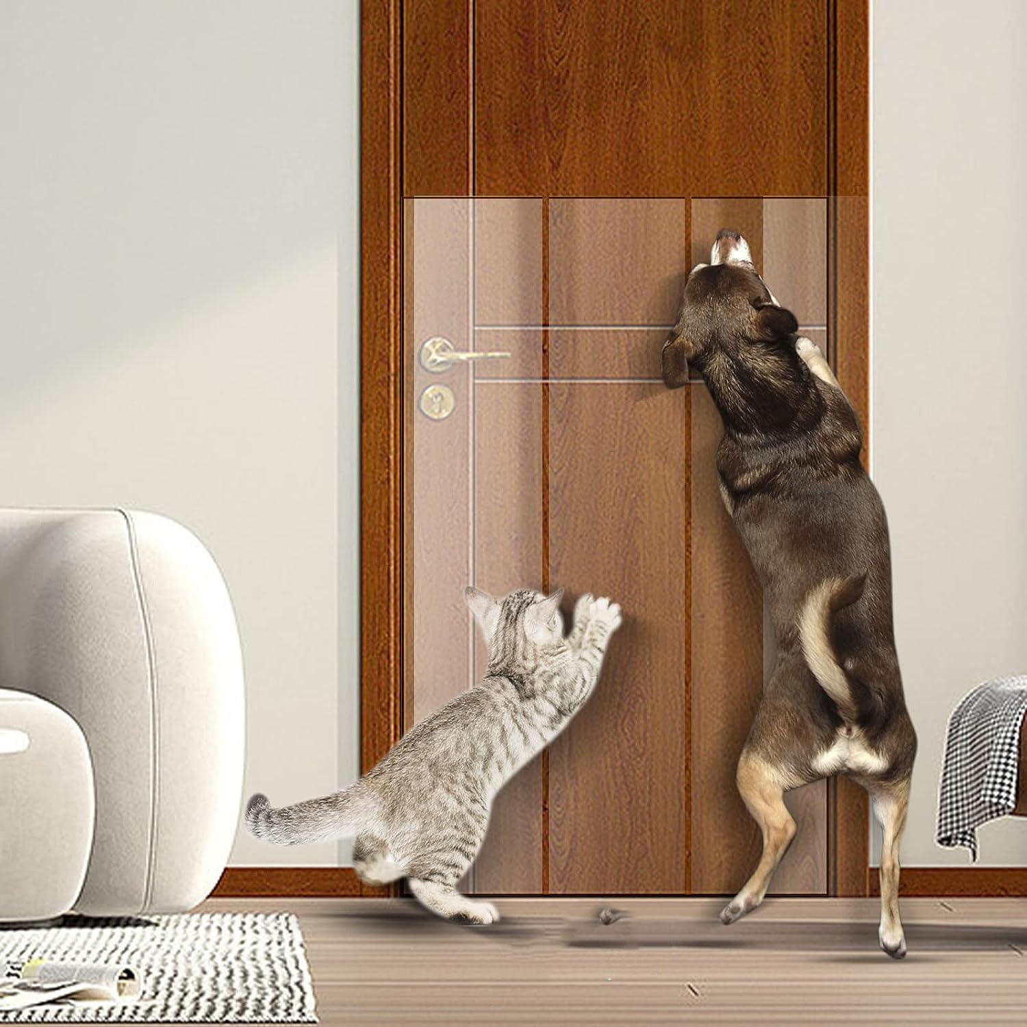 Cinta adhesiva transparente antiarañazos para sofá, diseño de gato