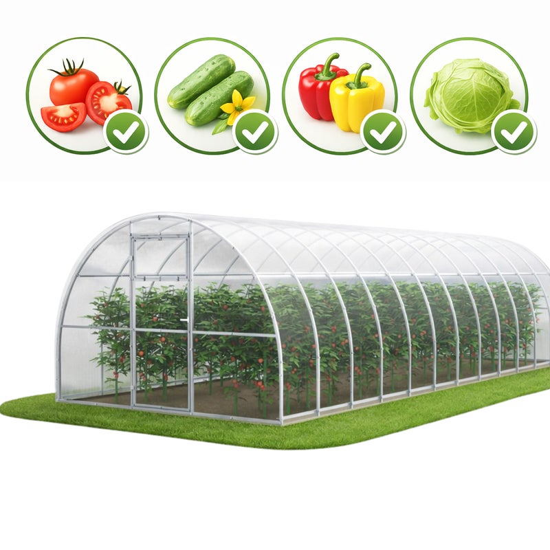 Szklarnia ogrodowa Tunel 3x8 m profile 40x20 poliwęglan 4mm - Szklarnia z poliwęglanu