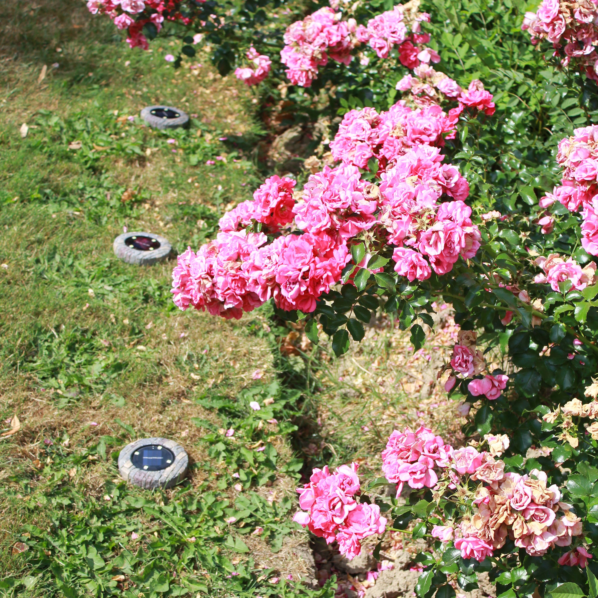 Lampeggianti solari ultrapiatti, set di 4 - 2