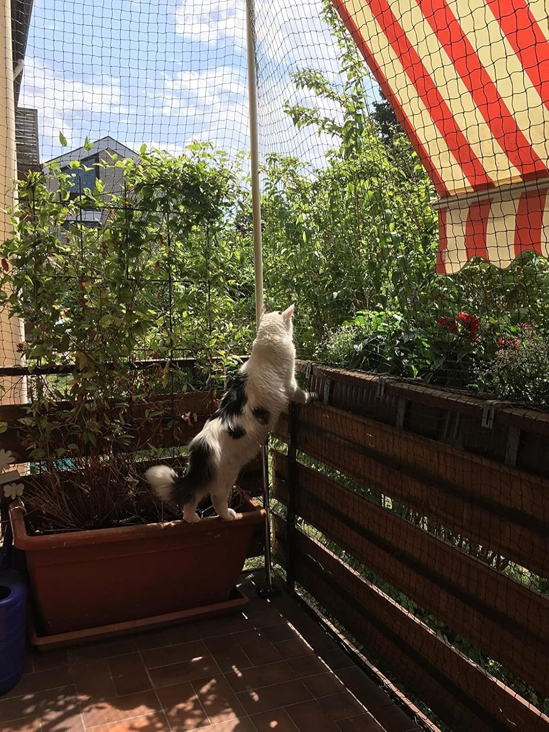 Filet de Protection pour Chat, 10x3m, Renforcé, Résistant aux Intempéries, Sécurise Balcon, Fenêtres et Terrasses - 8