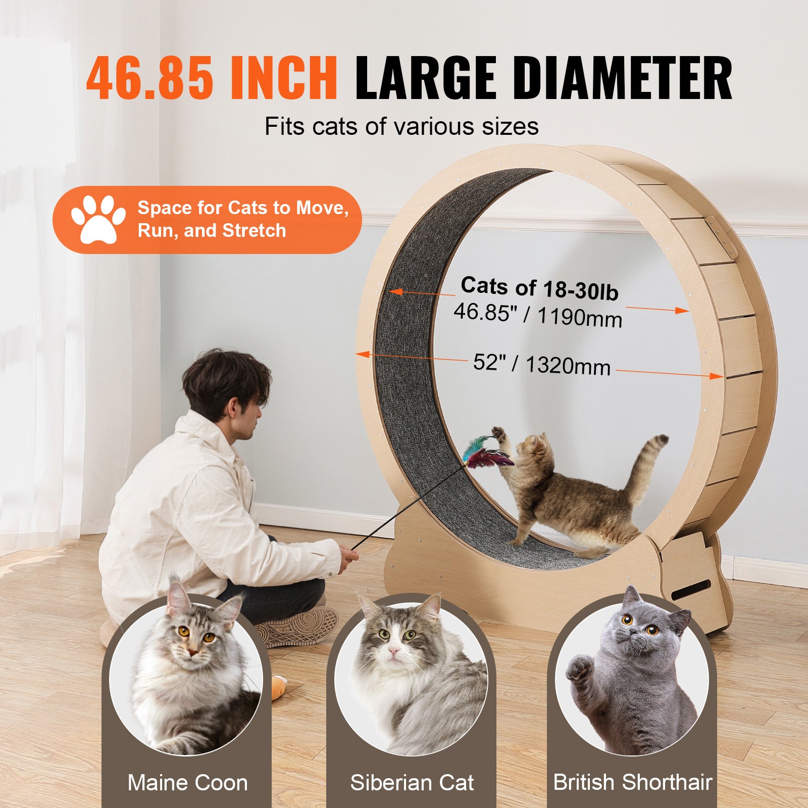 Roue d'exercice en bois pour chat,SucceBuy grande roue tapis roulant de 52 pouces pour chats d'intérieur,roue course avec tapis amovible et teaser - 6