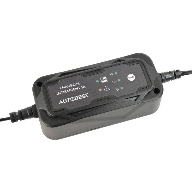 Chargeur de batterie moto - maintien de charge 6V / 12V - 4