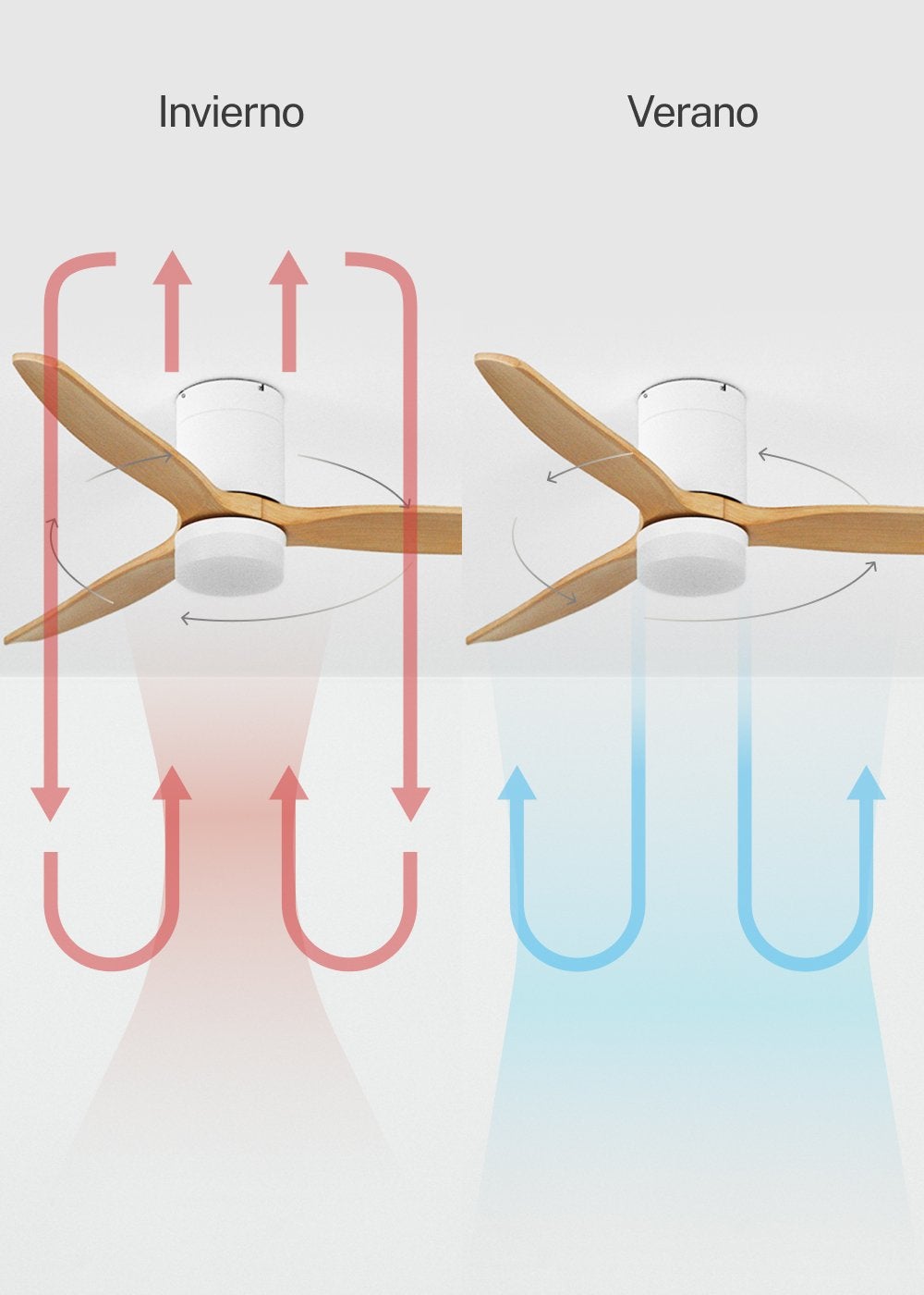 CREATE - WIND CALM M - Ventilateur de plafond silencieux 40W avec pales techniques en ABS Ø132cm avec eclaraige avec wifi - 6