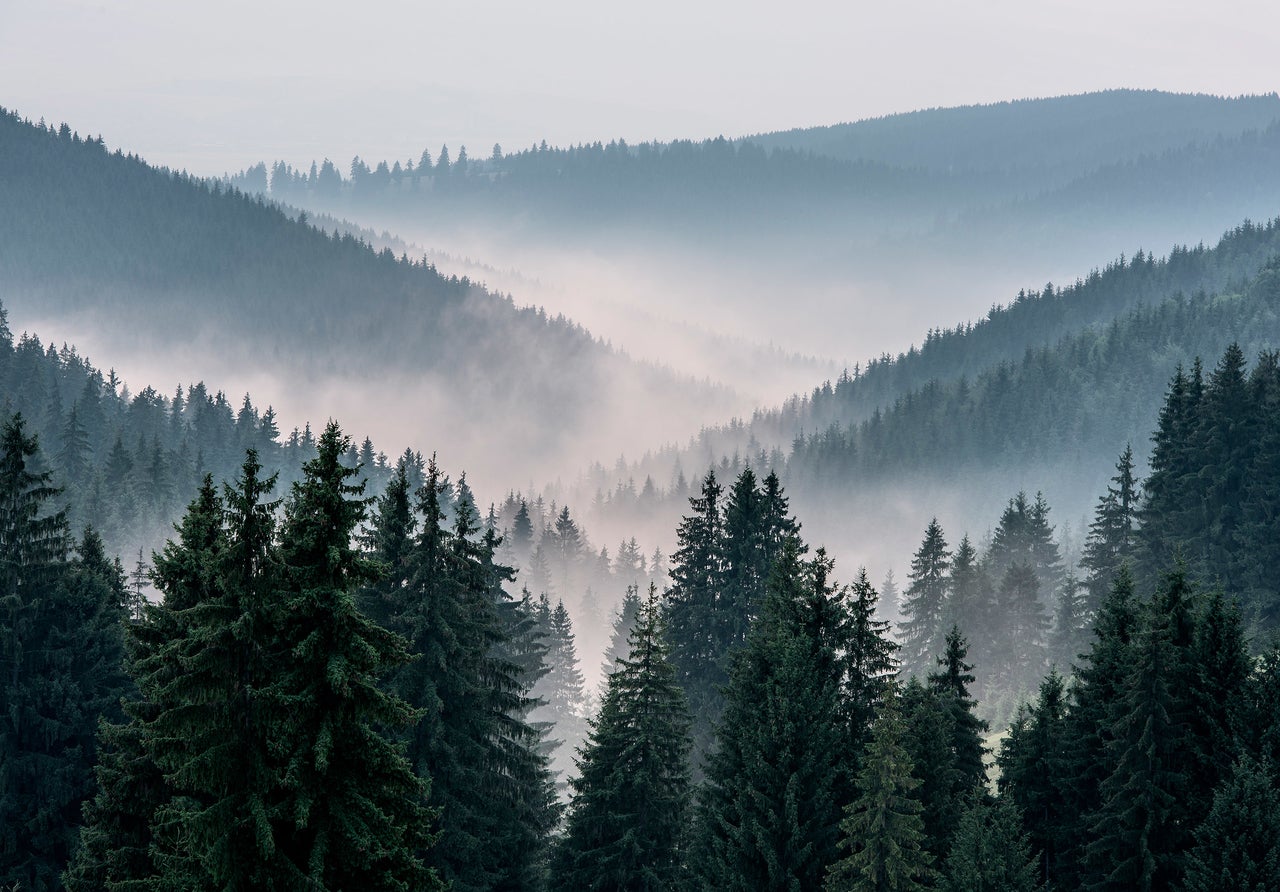 Papel pintado fotografia panorámica montañas bosque niebla árboles paisaje 368x254 cm - incluye cola - moderno salon dormitorio papel no tejido
