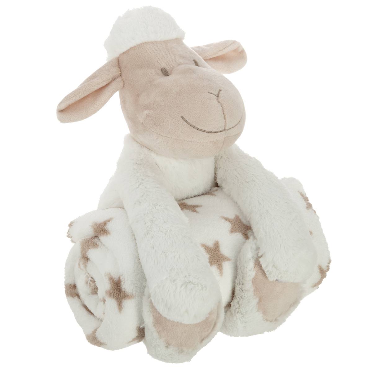 Coperta di peluche Fisica - Fenomeni Elettricità e Magnetismo