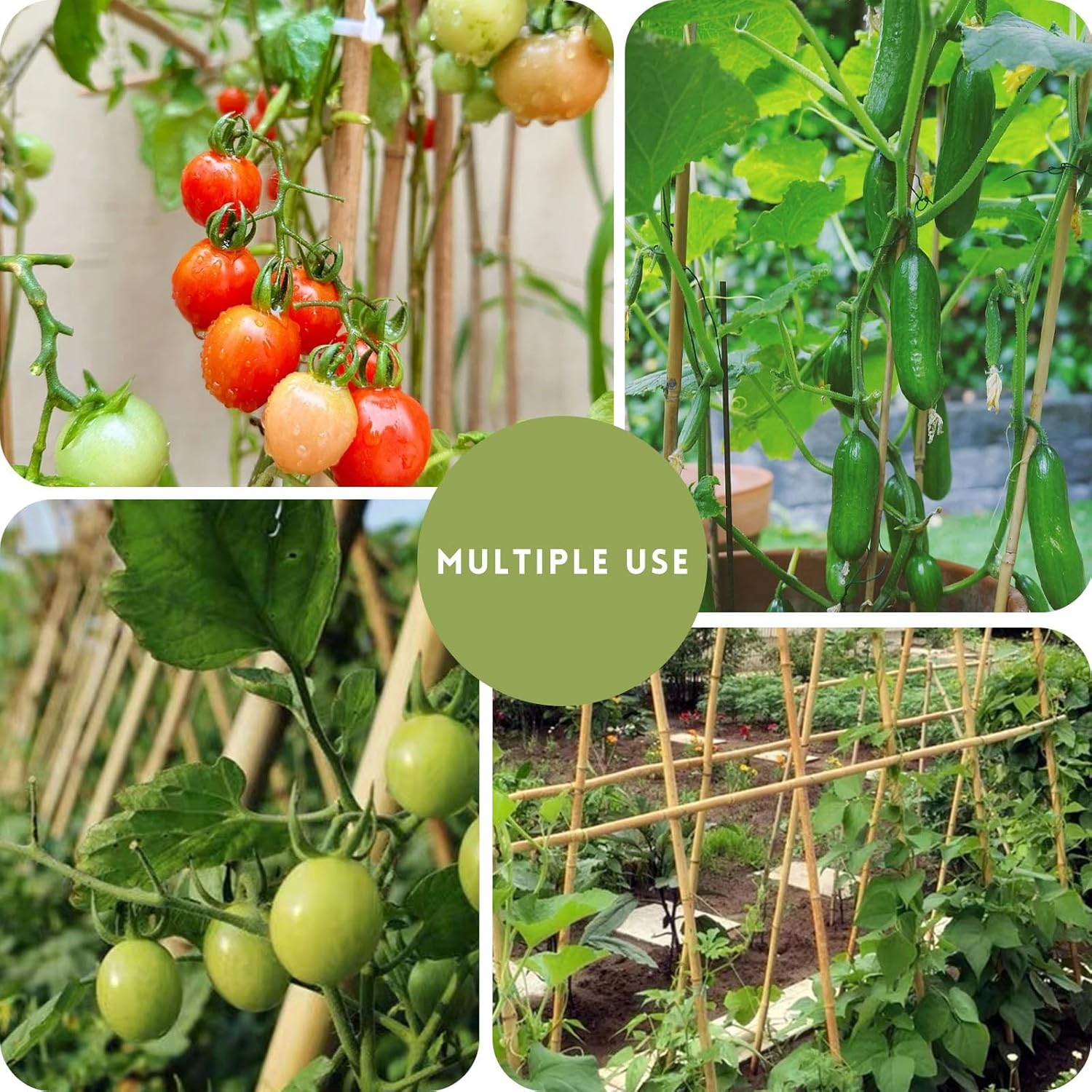 Pali di supporto per piante, bastoncini di bambù per pomodori, fagioli, fiori, piante in vaso, piante rampicanti per interni ed esterni 40 pezzi - 4