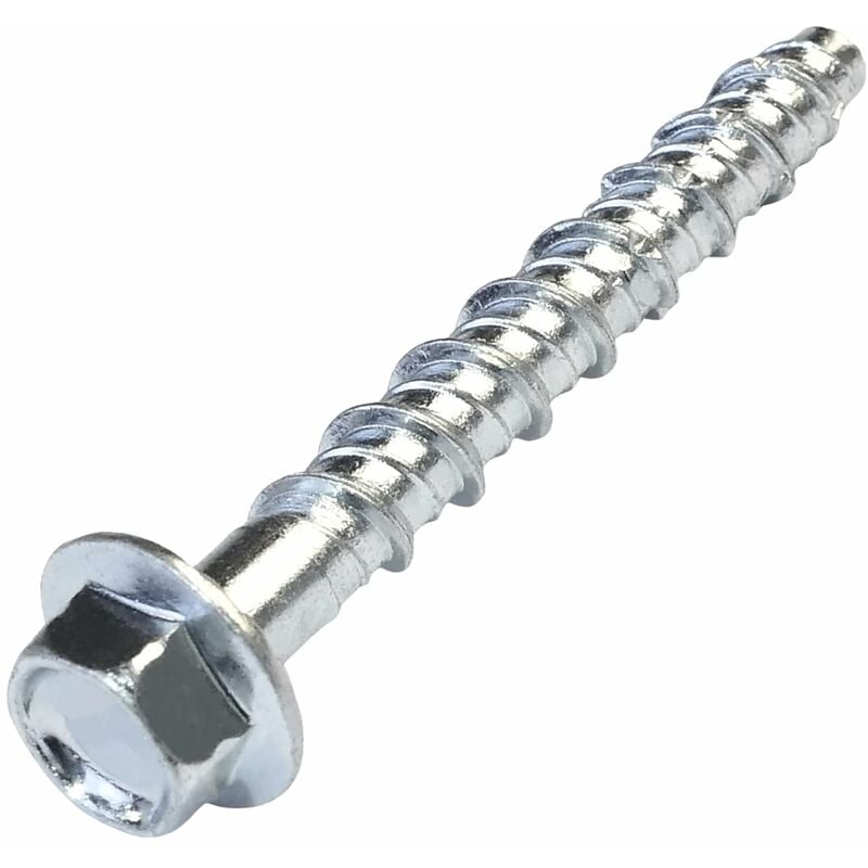 Lot De 10 Vis Nickelées Pour Concho - Longueur 9mm, Marque Ivan, Idéal Cuir