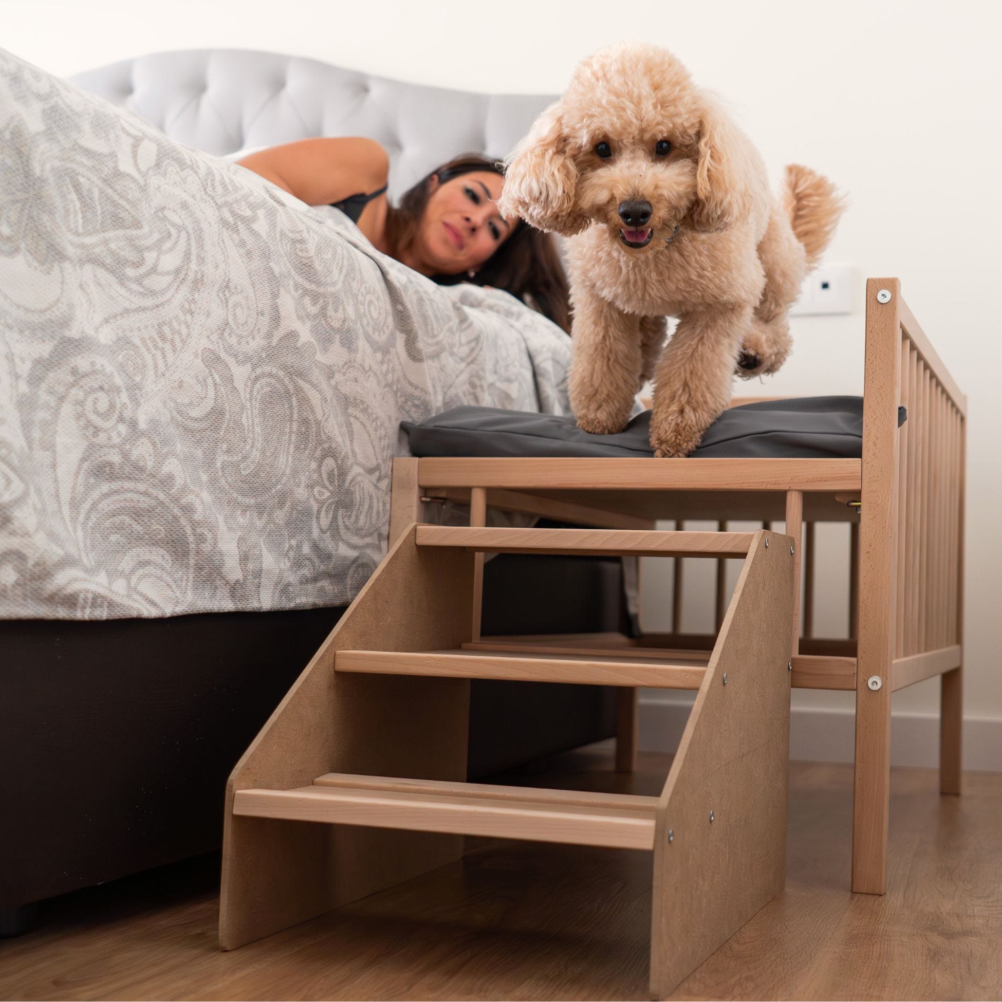 Cama para Perro, Gato, Elevada de Madera con Escalón para