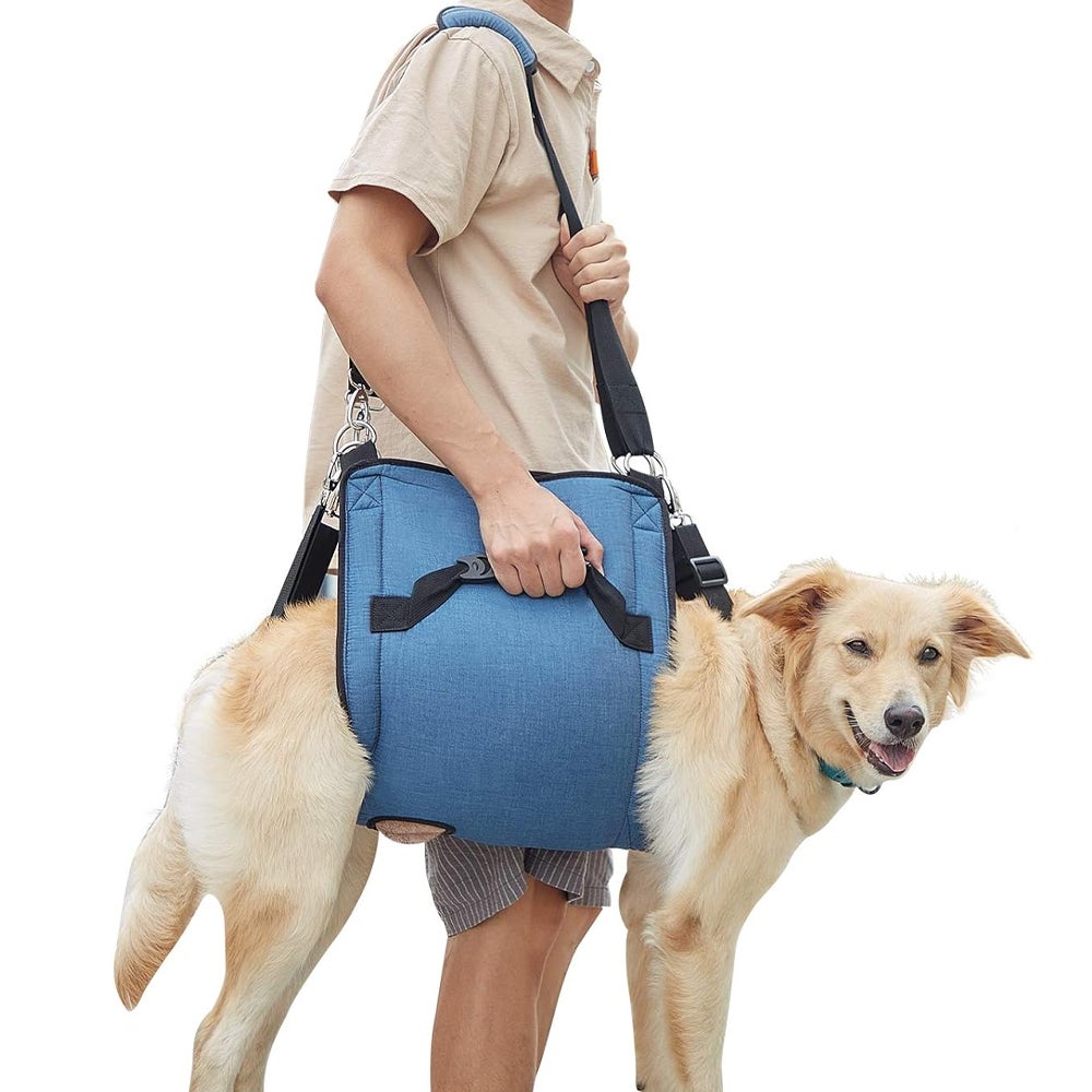 XL, Bleu) Harnais de transport pour chien, sac à dos d'urgence