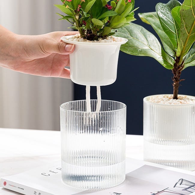Vaso Con Sistema Di Auto Irrigazione 9x9x9 Cm CUBICO Da Interno Ed Esterno 9x9x9 Cm Vaso Con Sistema Di Auto Irrigazione 9x9x9 Cm CUBICO Da Interno Ed Esterno 9x9x9 Cm