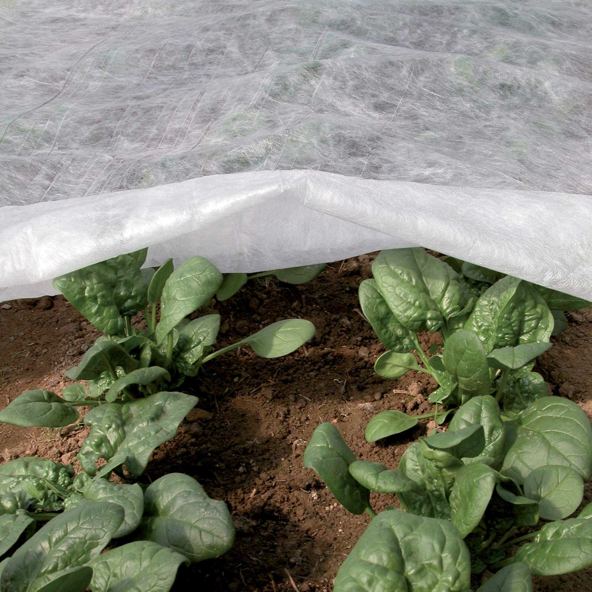 TENAX Ortoclima Plus 2,40x10 m Bianco, Velo Protettivo Antigelo Invernale per Piante, in TNT Tessuto non 30 g/m, Protegge Fiori e Ortaggi da Freddo, G - 3