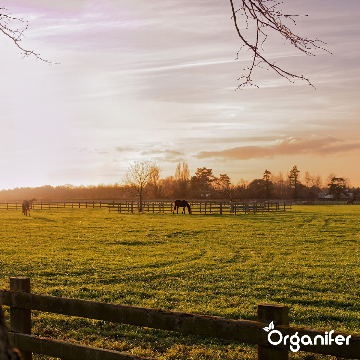 Compost De Vers - Vermicompost - Grand Sac De 1500 Litres Pour 1500M2 - Organifer - 6