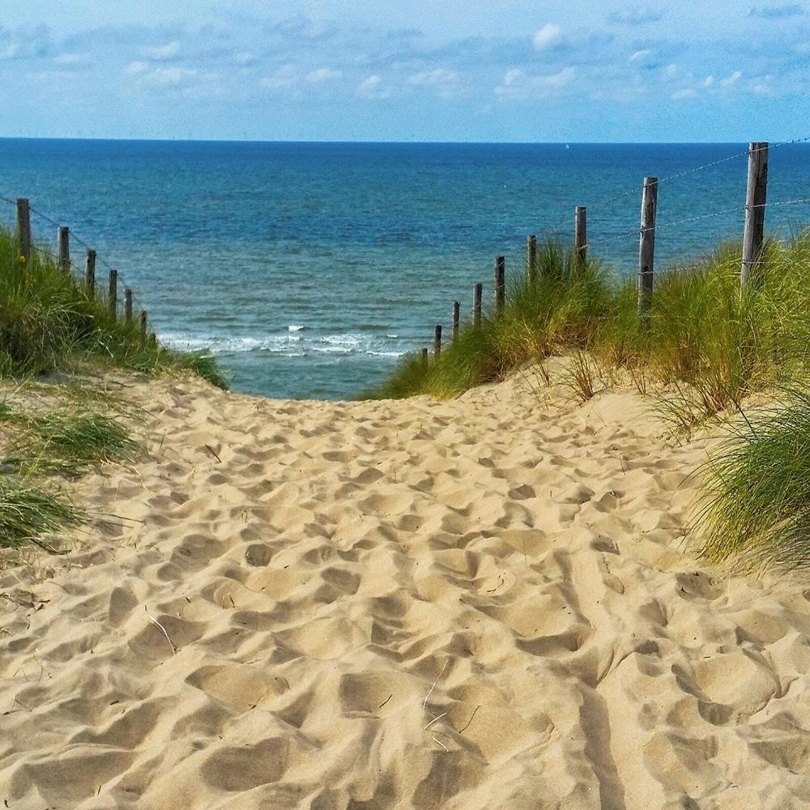 Tableau descente en bois jusqu'à la plage - 120 x 80 cm - 3