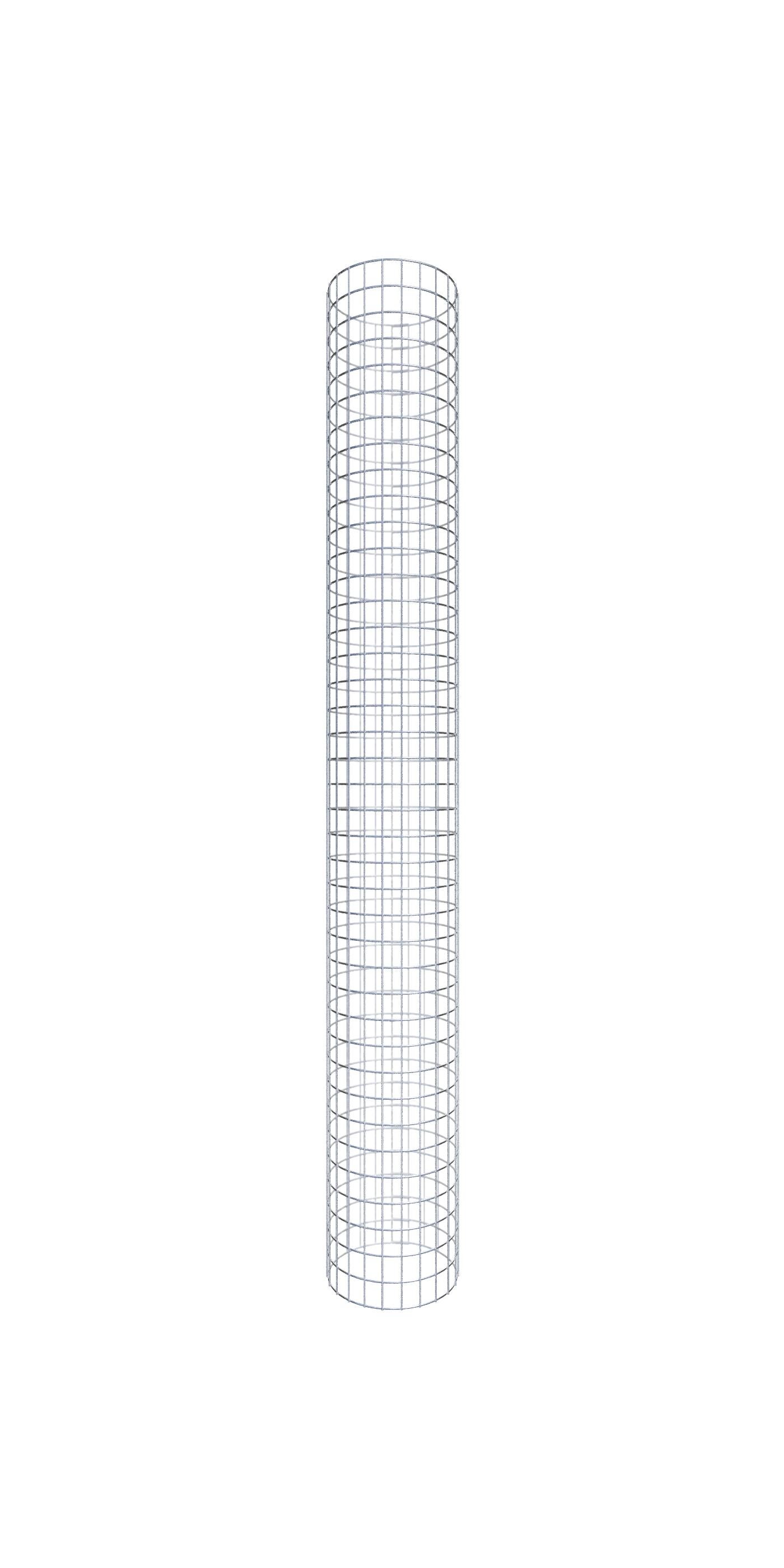 Ruota Girevole In Ferro Duttile Albion 2G161 – Portata 1750 Lb, Altezza 6-7/8″