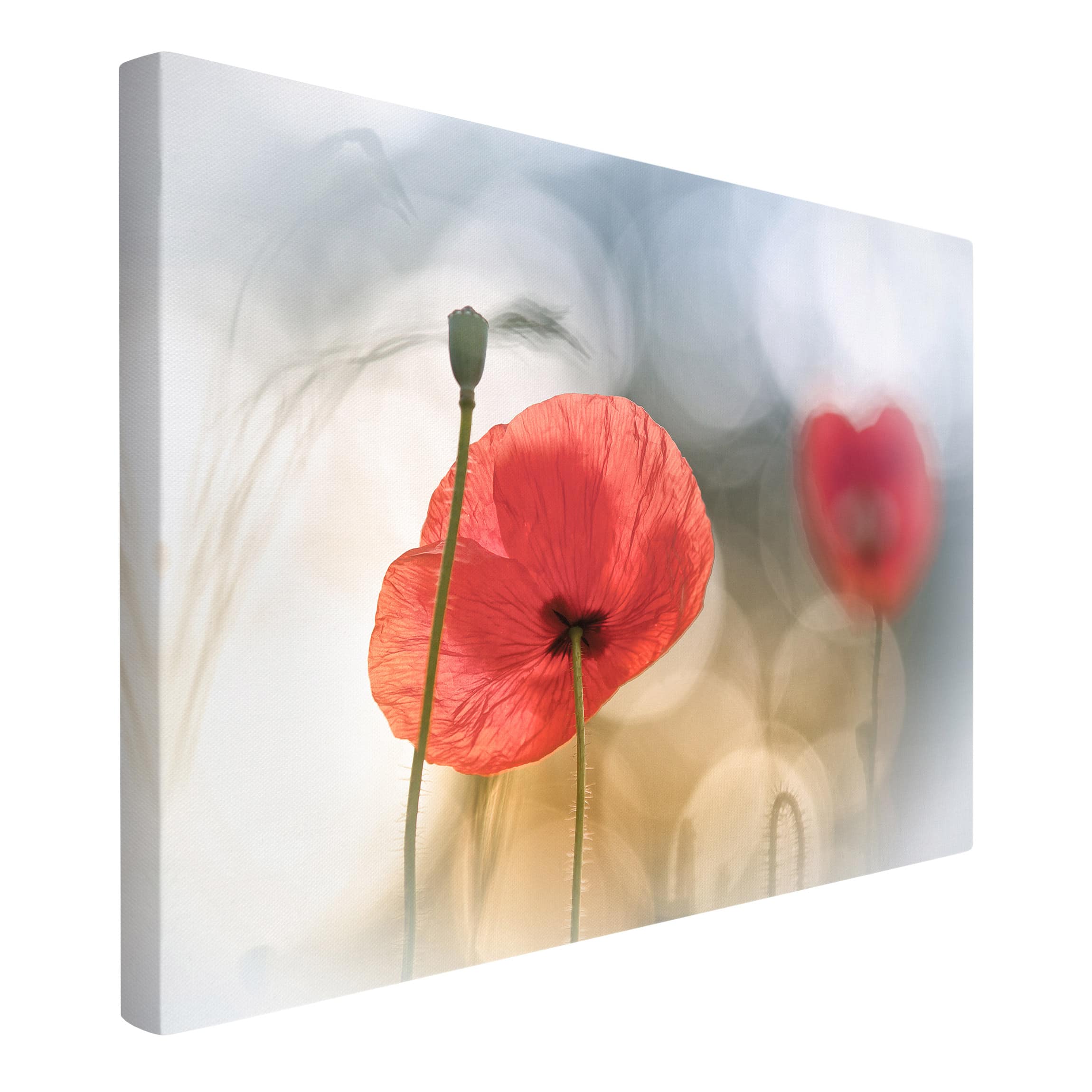 Impression sur toile tableau sur toile châssis rouge botanique fleur coquelicot 218 cuisine chambre à coucher salon couloir 90 x 60 cm - 4