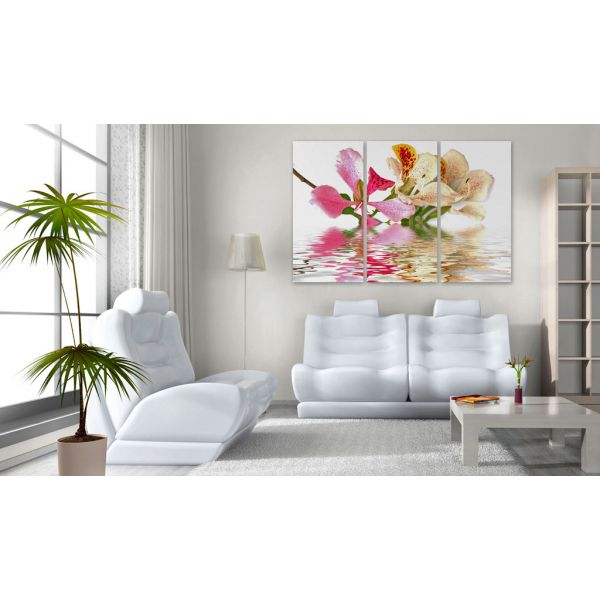 Tableau Fleurs Orchid with colorful spots 90x60 cm - 2