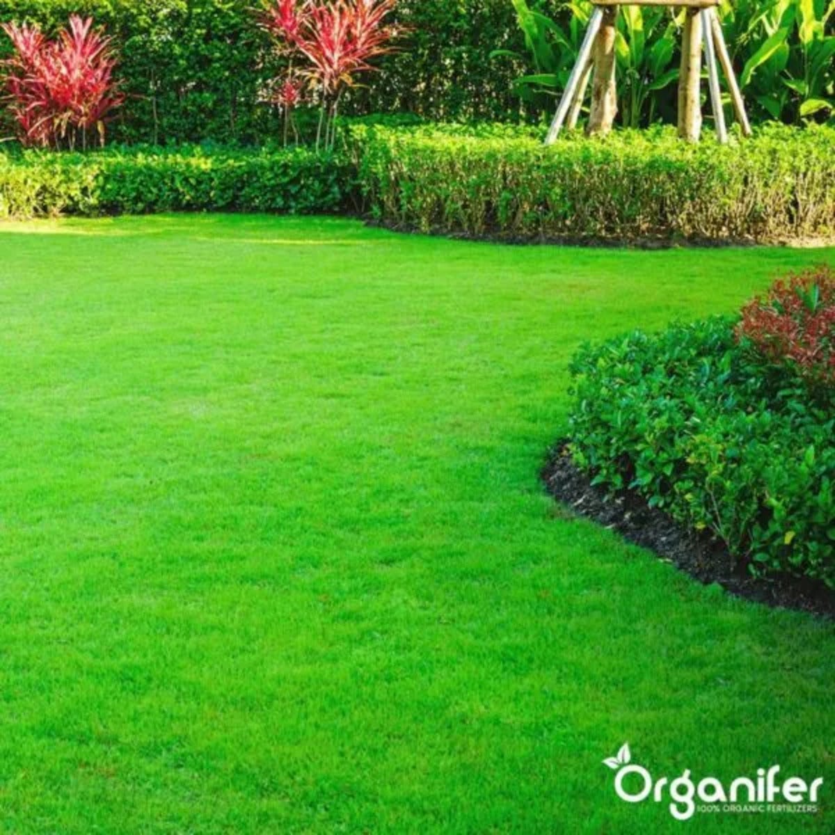 Engrais Calcaire Avec Magnésium - 40X = 800 Kg Pour 16.000 M2 - Organifer - 9
