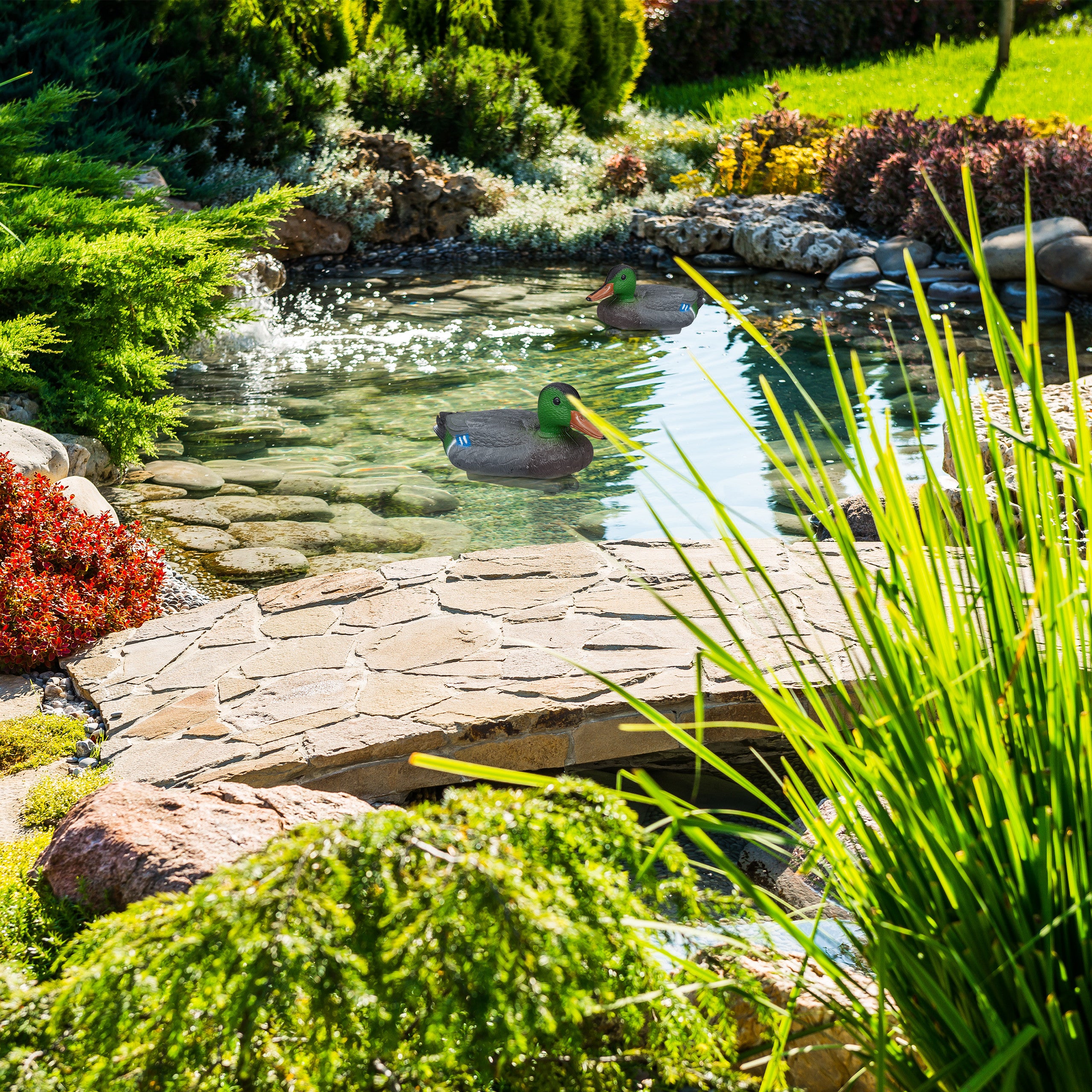 Set da 10 Anatre da Stagno, Galleggiante, in Plastica, Resistente alle Intemperie, Decorazione da Giardino, Colorato - 5