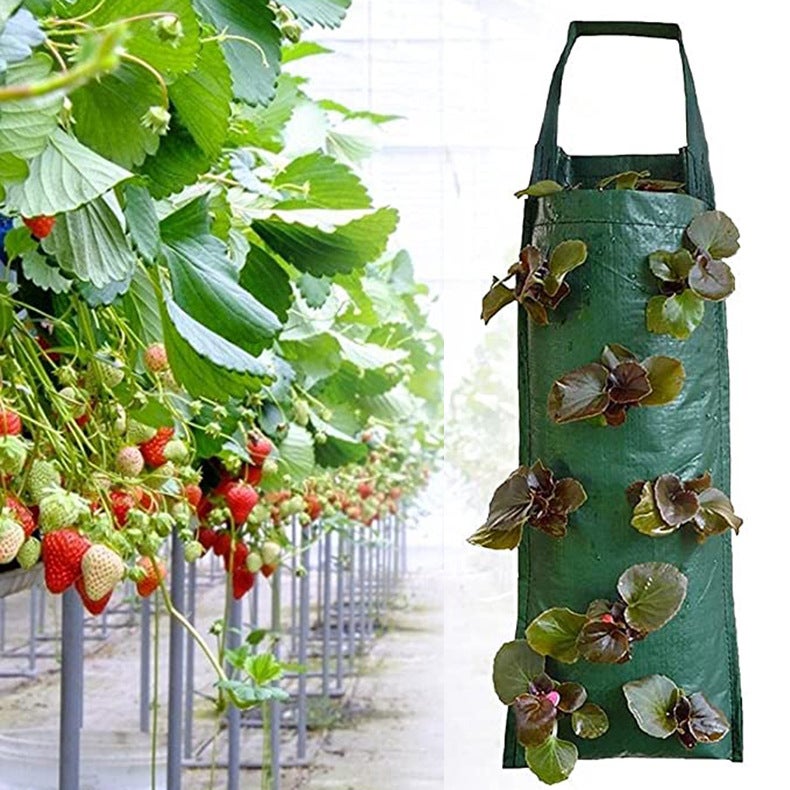 2pcs Sacs de culture de fraises verticaux à 8 trous, sacs de plantes, sacs de pépinière, pots de fleurs et accessoires de conteneurs (orange) - 2