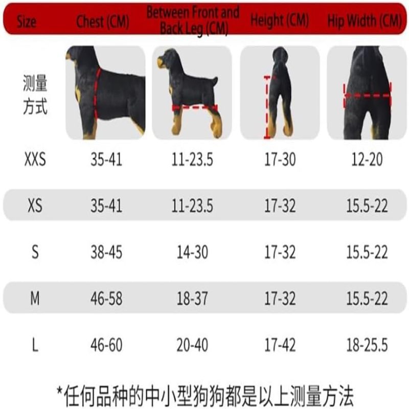 Silla de ruedas personalizada para perros, ruedas con amortiguación, correas de seguridad (L) - 6