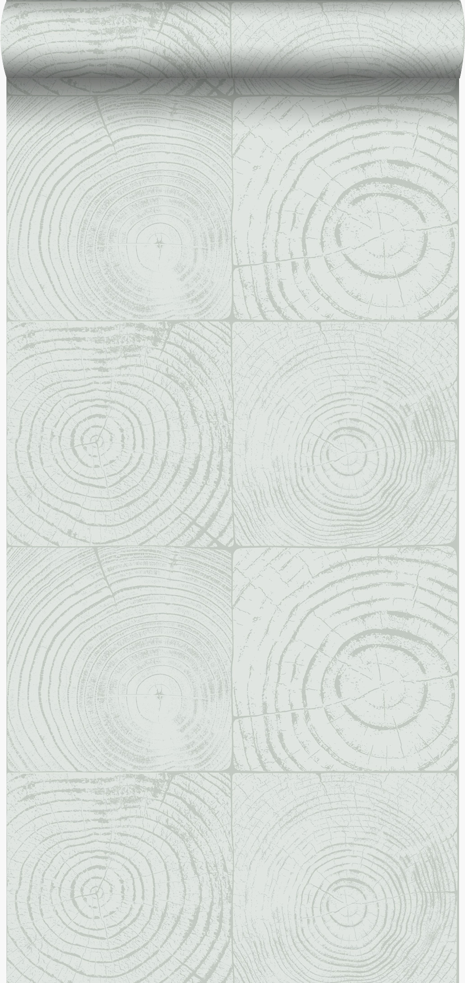 Tapeta przekrój pnia drzewa miętowej zieleni - 53 cm x 10.05 m - ORIGIN
