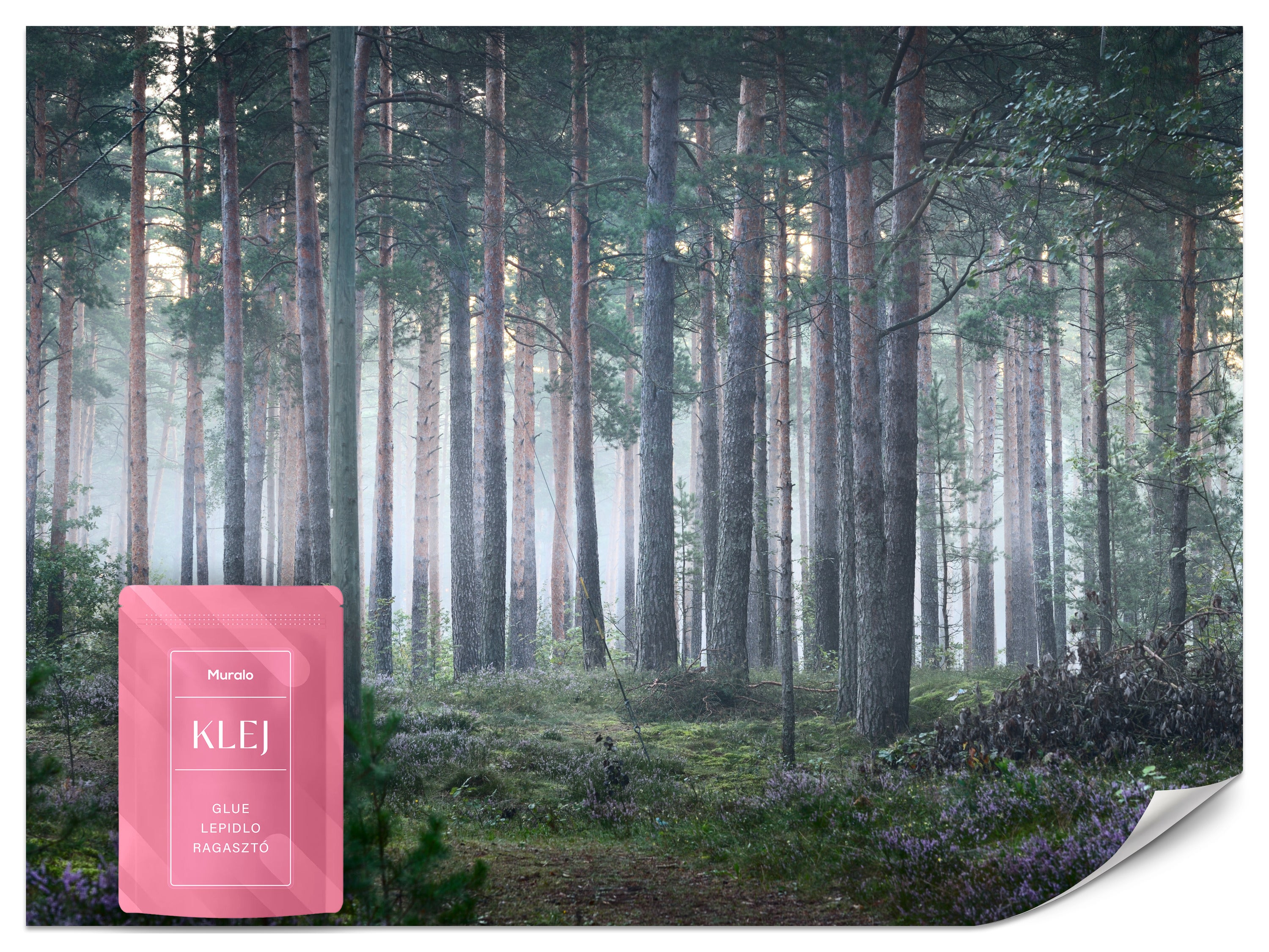 FOTOTAPETA MGLISTY LAS DRZEWA NATURA 3D TAPETA NA ŚCIANĘ DO SALONU 450x315