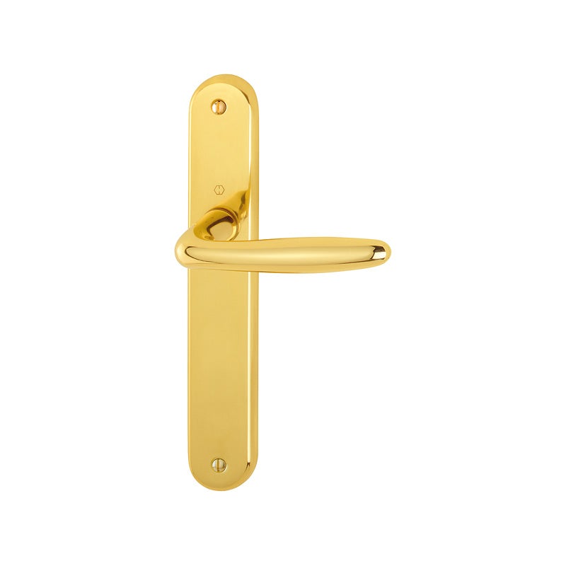 Poignée de porte en bois brut – Finition dorée design pour porte intérieure moderne