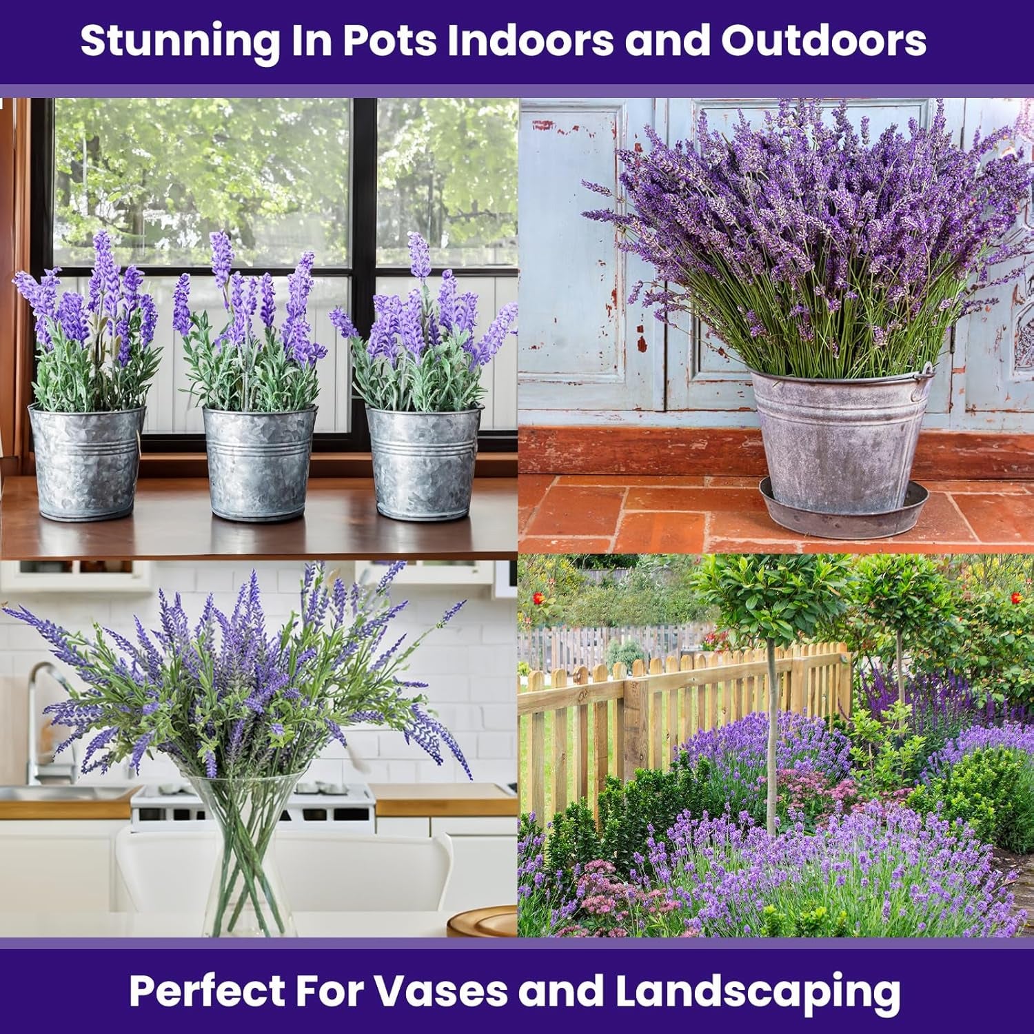 Semi Di Gelsomino Resistenti – 100 Pezzi Per Balcone E Giardino, Piante Perenni Da Fioritura Colorata, Ornamentali Per Esterni