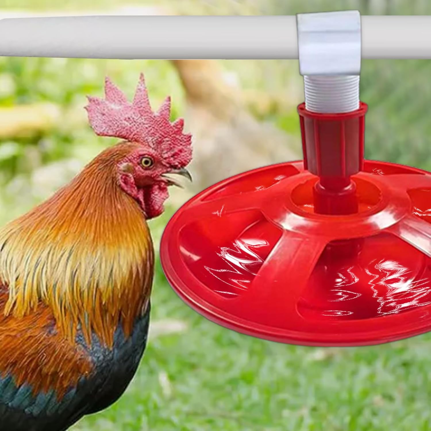 Abreuvoir Automatique Volaille – Niveau D’Eau Constant – Facile à Installer Pour Poules, Canards & Oiseaux