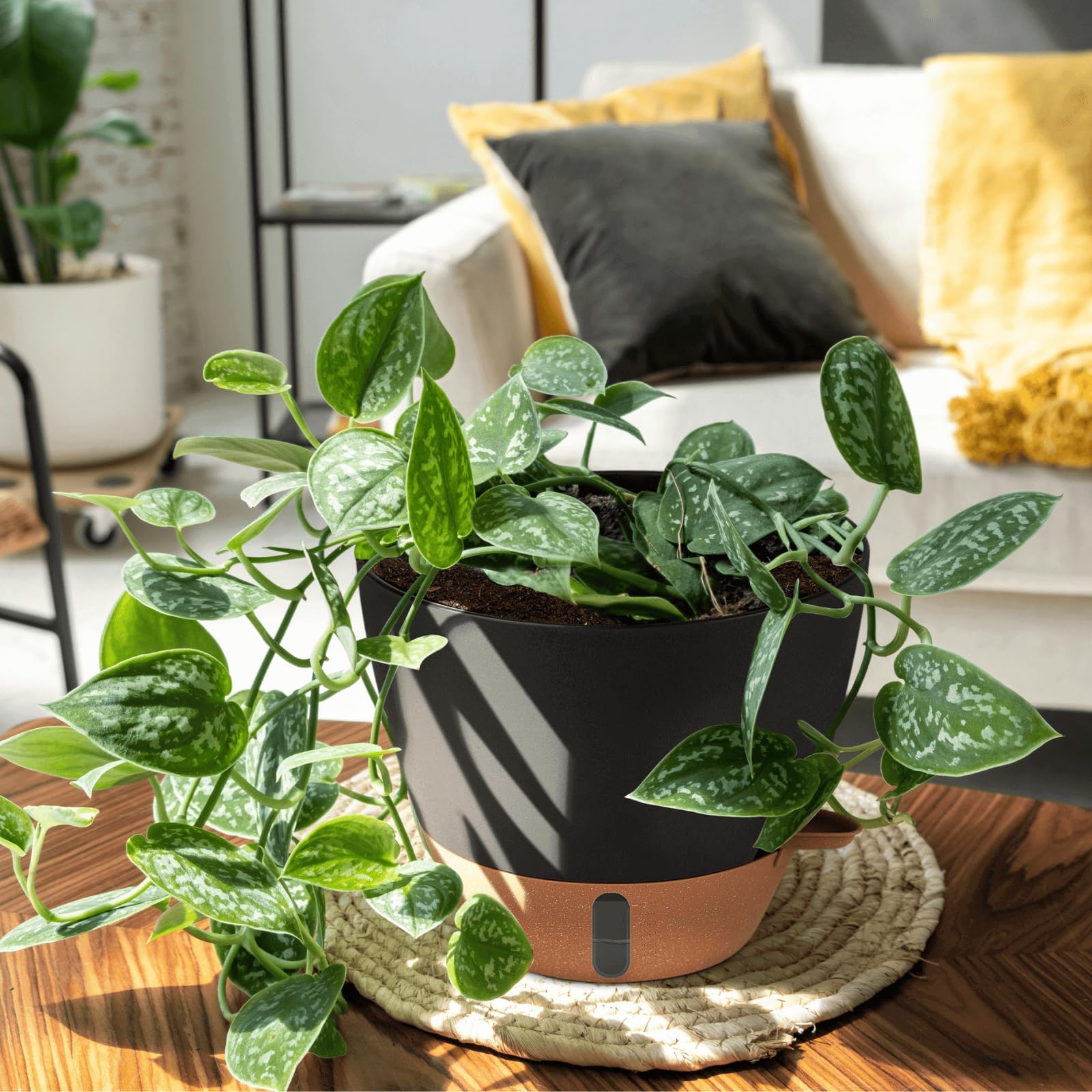 YM INTERNET Vaso auto-absorvente para plantas, vaso de plástico para uso doméstico que não necessita de rega, conjunto de 3 vasos para plantas verdes - 9