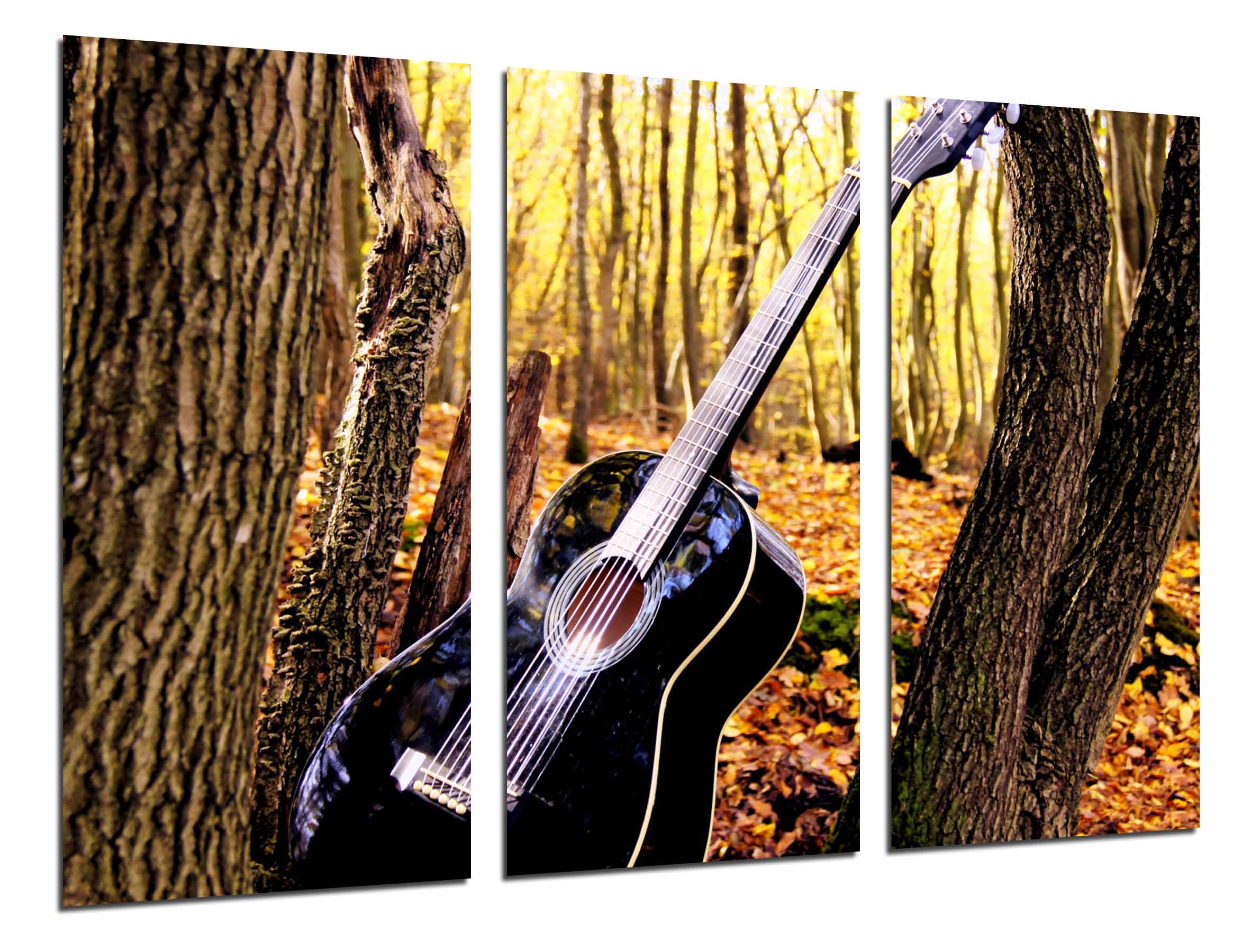 Guitarra en la naturaleza, musica, arboles, impresión fotográfica sobre madera, cuadro moderno decorativo