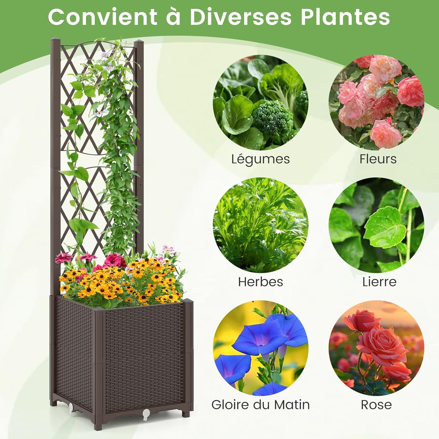 Jardinière avec Treillis sur Pied, Bac de Plantation Auto-arrosage en Rotin PP avec Trou de Drainage, Légumes, Fleurs, Café, 40 x 40 x 140 cm - 8