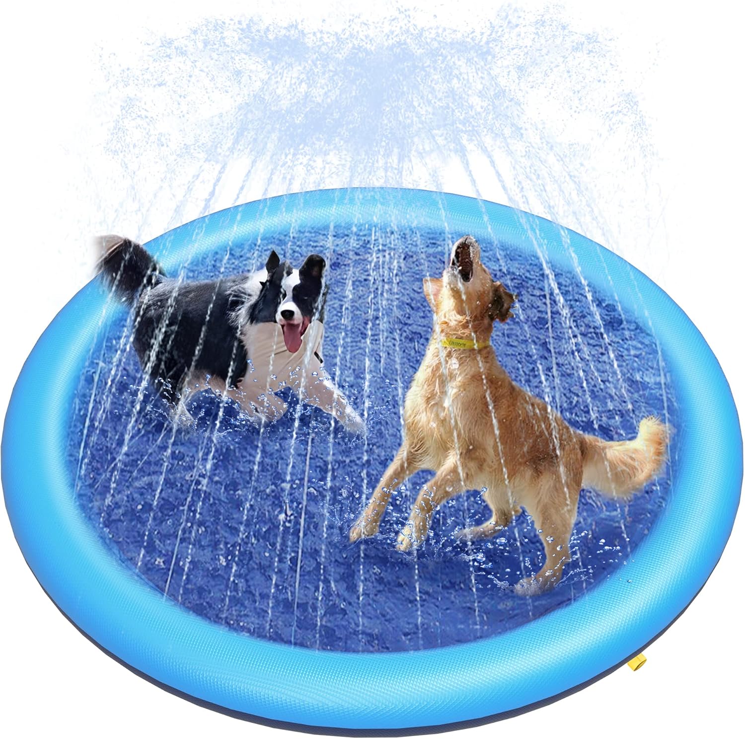 Piscine Pliable Pour Chien/enfant 50x50x8 Cm - En PVC Résistant, Bords Doux - Pour Jeu Et Rafraîchissement - 4