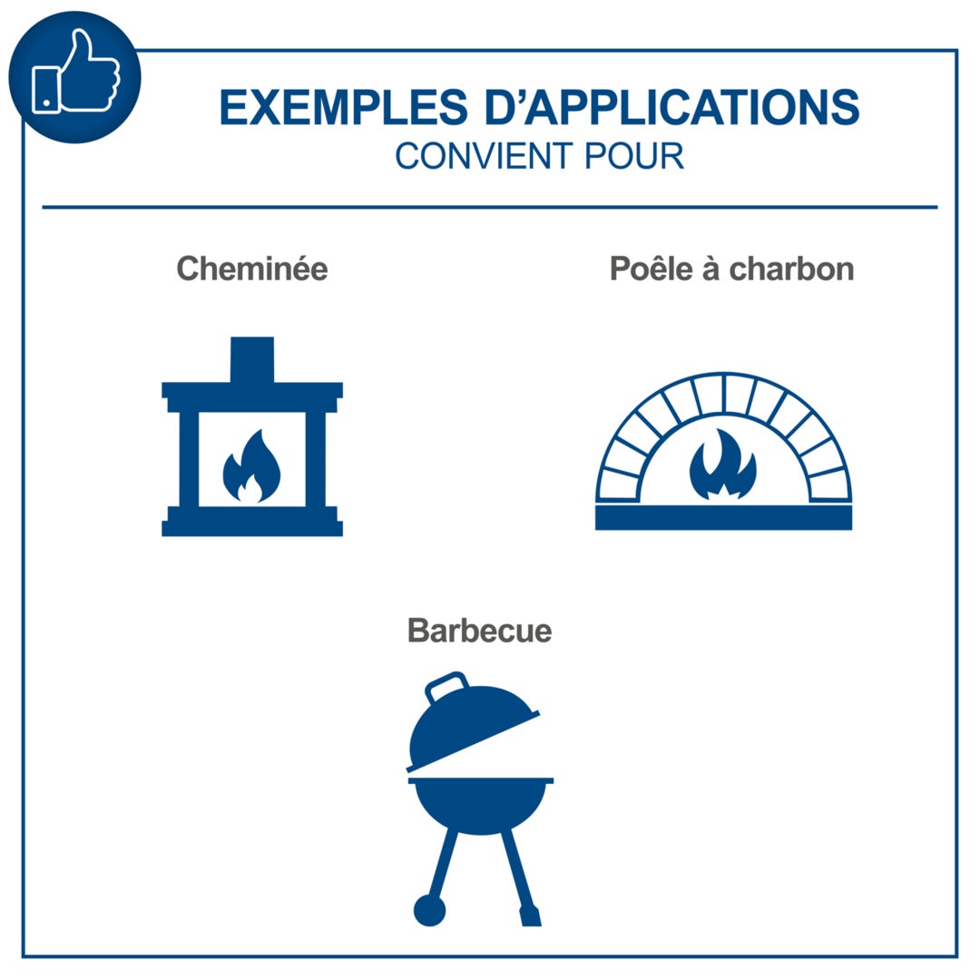 Scheppach Aspirateur à cendres AVC20 – 230 V – Moteur 1200 W – Cuve de 20L – Puissance d’aspiration 20 kPa – Fonction nettoyage du filtre - 3
