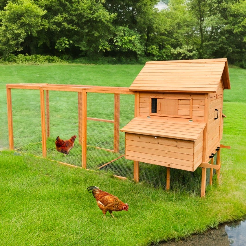 Poulailler Cucciolotta PollyFarm * 56 à 10 poules * HPL * Poulaillers Poulailler Cucciolotta PollyFarm * 56 à 10 poules * HPL * Poulaillers