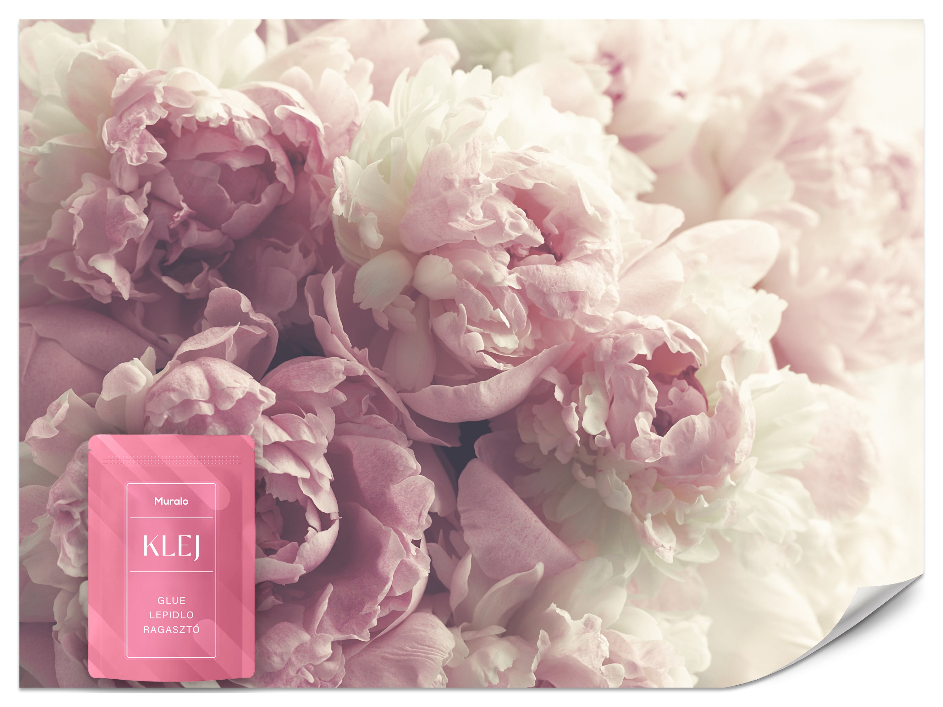 FOTOTAPETA DO SYPIALNI SALONU KWIATY PIWONIE PEONIE NATURA BOHO 200x140