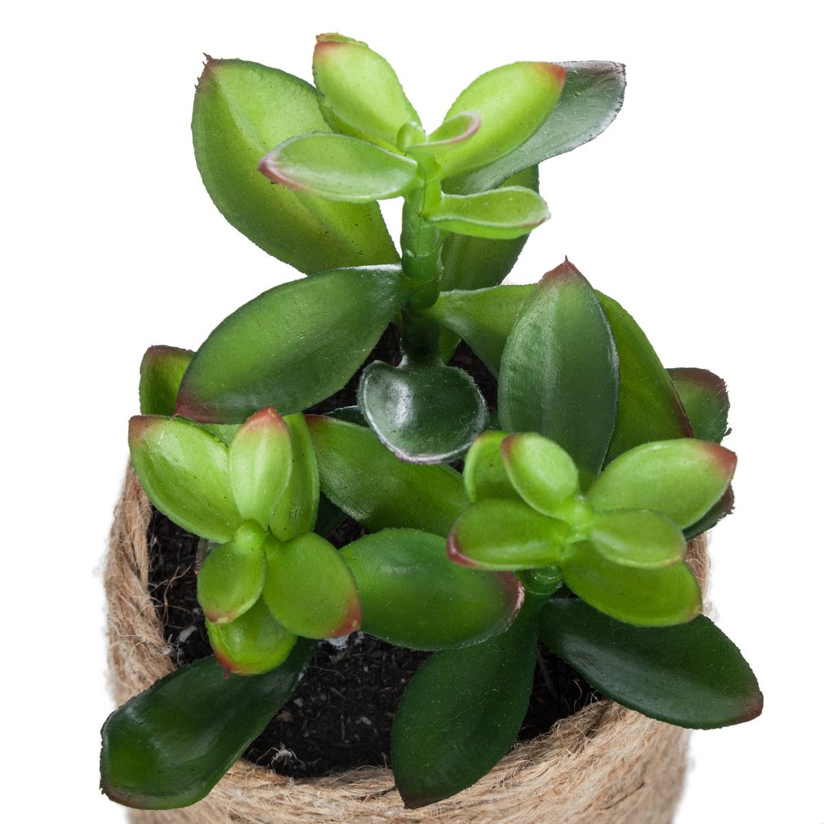 Plante Artificielle H16cm Multicolore - Atmosphera Créateur d'intérieur - 4